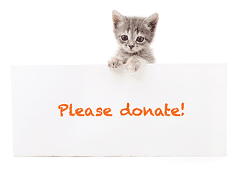 Give abused and homeless animals a second chance. Join Engage2Excel in supporting the ASPCA.