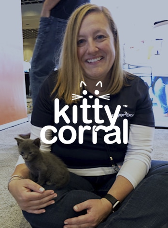 Bringing awareness and recognition to cat adoption